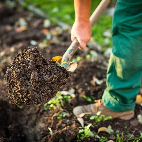 Beplantning i Brøndby, Glostrup og Ballerup